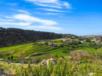 إبل السقي من أجمل بلدات الجنوب اللبناني