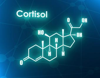 الكورتيزول هرمون تنتجه الغدد الموجودة فوق الكليتين (إنترنت)