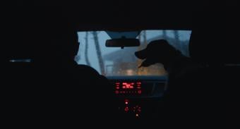 "كلب ساكن" لسارة فرنسيس يُعرض لبنانيًا للمرة الأولى