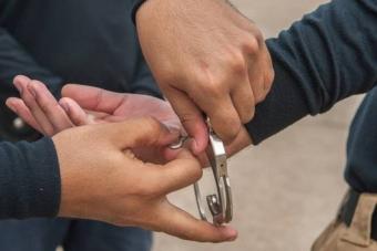 توقيف 3 سوريين في عكار لبيعهم أغناما مسروقة