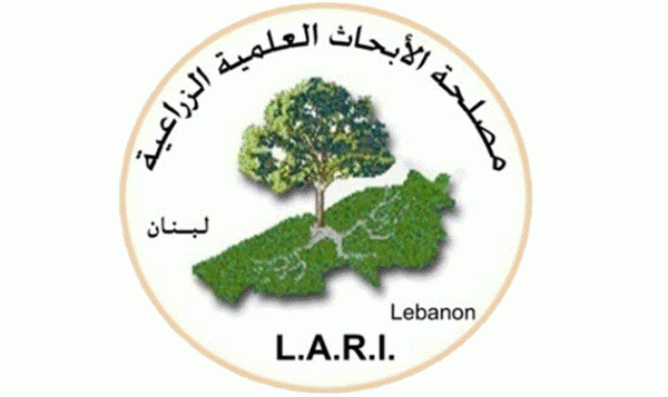 مصلحة الابحاث الزراعية: منخفض جوي بارد الاثنين والثلاثاء والثلوج على 1400 متر