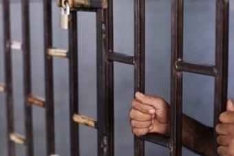 توقيف 5 أشخاص بجرم صيد طيور اللقلق الأبيض والبجع المهاجرة المحظر صيدها