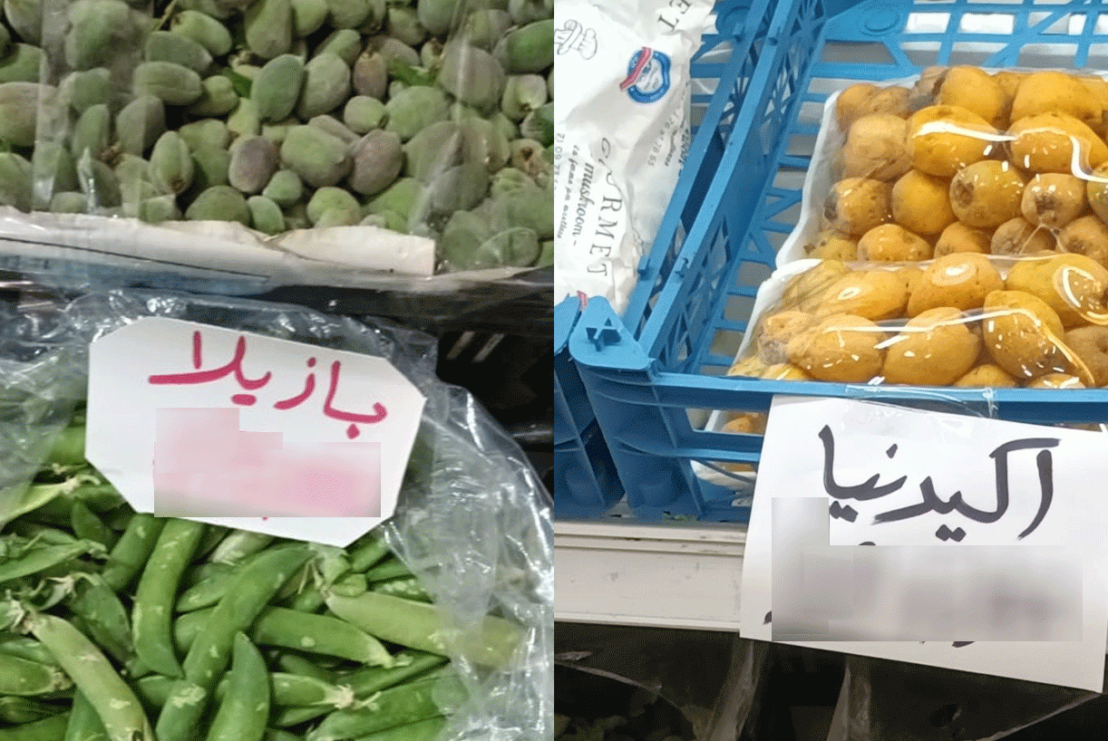 بالصور: حتى فاكهة "الموسم" لم تعد بمتناول الفقراء... إليكم أسعارها الخيالية!!