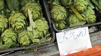 بالصورة: إلى مُحبّي "الأرضي شوكي".. إليكُم سعر الحبّة الواحدة!!